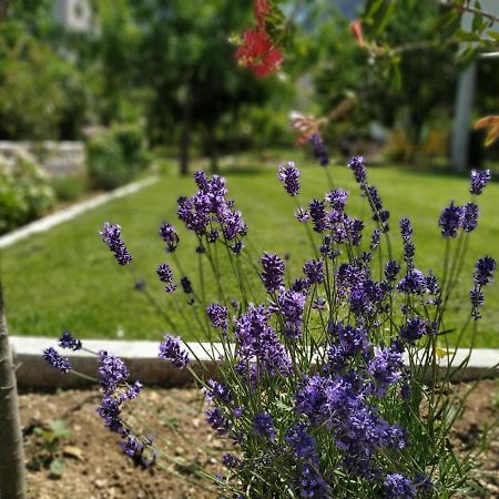 Apartments Grgurevic Котор Екстер'єр фото